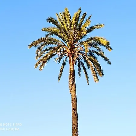 Sunny Agios Georgios (Troezen)