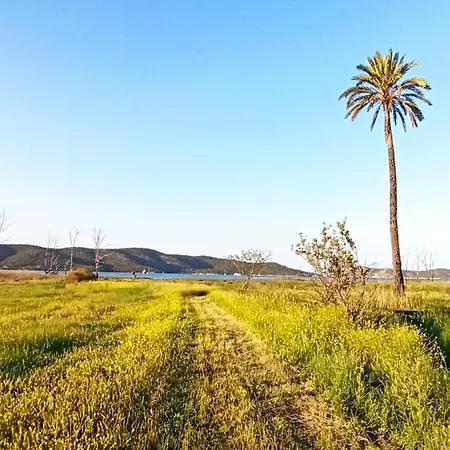 Sunny Nyaraló *