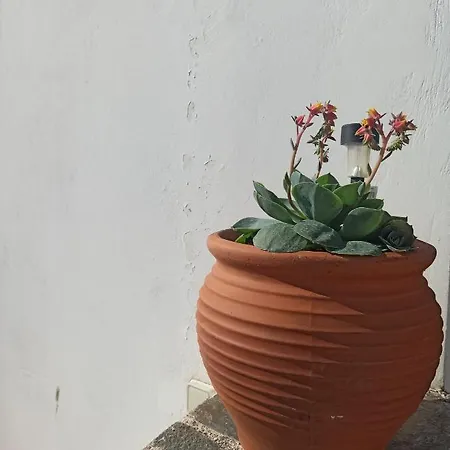 Nyaraló Sunny *