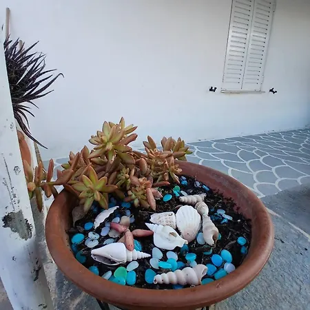 Sunny Nyaraló *