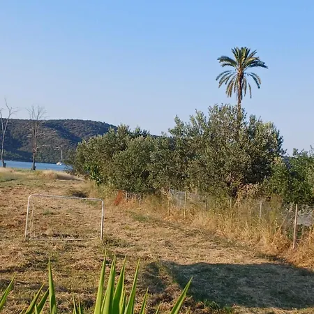 Nyaraló Sunny *