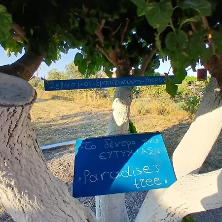 Sunny * Agios Georgios (Troezen)
