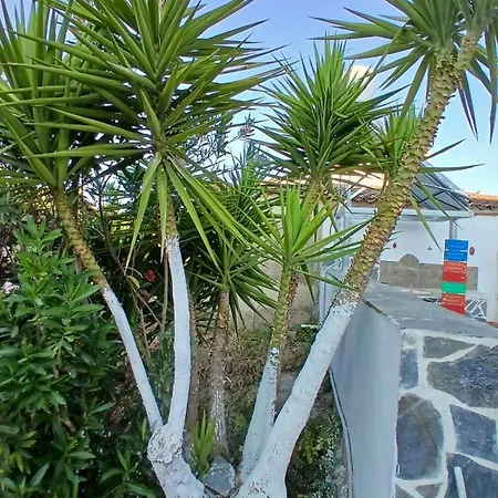 Sunny Nyaraló *