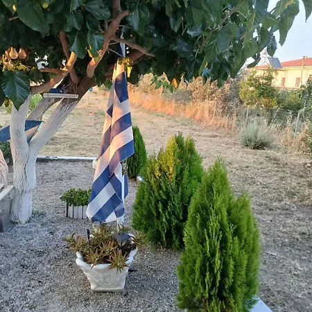 Sunny Nyaraló