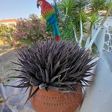 Nyaraló Sunny Agios Georgios (Troezen)
