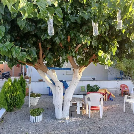 Sunny Nyaraló *