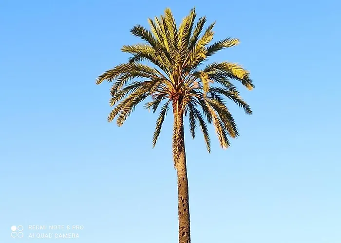 Sunny Agios Georgios (Troezen)